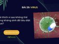 Giải thích vì sao không thể dùng kháng sinh để tiêu diệt virus?