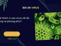 Giải thích vì sao virus rất đa dạng và phong phú