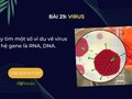 Hãy tìm một số ví dụ về virus có hệ gene là RNA, DNA