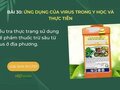 Điều tra thực trạng sử dụng chế phẩm thuốc trừ sâu từ virus