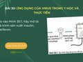 Dựa vào Hình 30.1, hãy mô tả quá trình sản xuất insulin, interferon