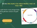 Hãy giải thích vì sao phage được sử dụng để làm vector chuyển gene