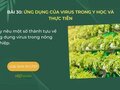 Hãy nêu một số thành tựu về ứng dụng virus trong nông nghiệp