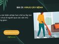 Biện pháp hạn chế sự lây lan của virus ở người qua các vật chủ