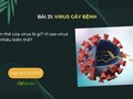 Biến thể của virus là gì? Vì sao virus có nhiều biến thể?