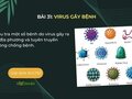 Điều tra một số bệnh do virus gây ra tại địa phương