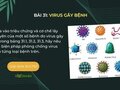 Dựa vào triệu chứng và cơ chế lây truyền của một số bệnh do virus