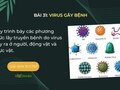 Hãy trình bày các phương thức lây truyền bệnh do virus gây ra