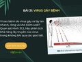 Vì sao bệnh do virus gây ra lây lan nhanh, rộng và khó kiểm soát