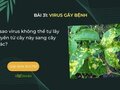 Vì sao virus không thể tự lây truyền từ cây này sang cây khác?