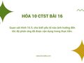 Câu 10 trang 103 SGK Hóa 10 Chân trời sáng tạo