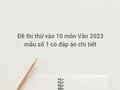 Đề thi thử vào 10 môn Văn 2023 mẫu số 1 có đáp án chi tiết