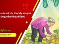 Cảm xúc về bài thơ Mẹ và quả (Nguyễn Khoa Điềm)
