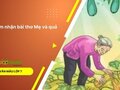 Cảm nhận bài thơ Mẹ và quả