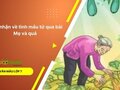 Cảm nhận về tình mẫu tử qua bài Mẹ và quả
