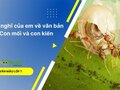 Suy nghĩ của em về văn bản Con mối và con kiến