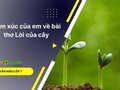 Cảm xúc của em về bài thơ Lời của cây