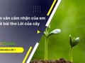 Đoạn văn cảm nhận của em về bài thơ Lời của cây