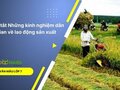 Tóm tắt Những kinh nghiệm dân gian về lao động sản xuất