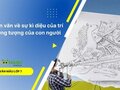 Đoạn văn về sự kì diệu của trí tưởng tượng của con người