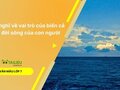 Suy nghĩ về vai trò của biển cả với đời sống của con người
