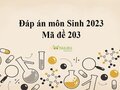 Đáp án môn Sinh mã đề 203: Đáp án đề thi Sinh THPT quốc gia 2023