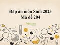 Đáp án môn Sinh mã đề 204: Đáp án đề thi Sinh THPT quốc gia 2023