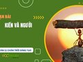 Soạn bài Kiến và người lớp 11 Chân trời sáng tạo