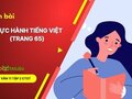 Soạn bài Thực hành tiếng Việt trang 65 lớp 11 tập 2 CTST
