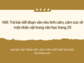 Trả bài viết đoạn văn nêu tình cảm, cảm xúc trang 29 KNTT
