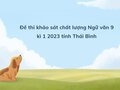 Đề thi khảo sát chất lượng Ngữ văn 9 kì 1 2023 tỉnh Thái Bình