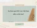 Sự tham gia DOC của Việt Nam diễn ra thế nào?