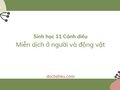 Soạn Sinh 11 Bài 9 Cánh diều: Miễn dịch ở người và động vật