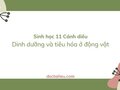 Soạn Sinh 11 bài 6 Cánh diều: Dinh dưỡng và tiêu hóa ở động vật