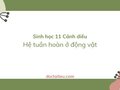 Soạn Sinh 11 Bài 8 Cánh diều: Hệ tuần hoàn ở động vật