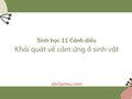 Soạn Sinh 11 Bài 11 Cánh diều: Khái quát về cảm ứng ở sinh vật