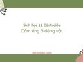 Soạn Sinh 11 Bài 13 Cánh diều: Cảm ứng ở động vật
