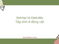 Soạn Sinh 11 Bài 14 Cánh diều: Tập tính ở động vật