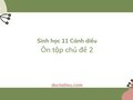 Soạn Sinh 11 Cánh diều bài Ôn tập chủ đề 2
