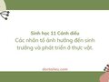 Soạn Sinh 11 Bài 17 Cánh diều: Các nhân tố ảnh hưởng đến sinh trưởng