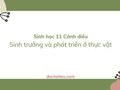Soạn Sinh 11 Bài 16 Cánh diều: Sinh trưởng và phát triển ở thực vật