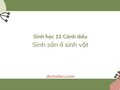 Soạn Sinh 11 Bài 21 Cánh diều: Sinh sản ở sinh vật