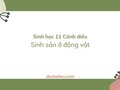 Soạn Sinh 11 Bài 22 Cánh diều: Sinh sản ở động vật