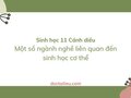Soạn Sinh 11 Bài 24 Cánh diều: Một số ngành nghề liên quan đến sinh học