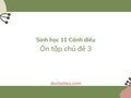 Soạn Sinh 11 Cánh diều bài Ôn tập chủ đề 3