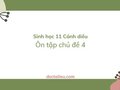 Soạn Sinh 11 Cánh diều bài Ôn tập chủ đề 4