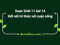 Soạn Sinh 11 Bài 14 Kết nối tri thức: Khái quát về cảm ứng ở sinh vật
