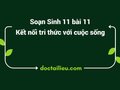 Soạn Sinh 11 Bài 11 Kết nối tri thức: Thực hành một số thí nghiệm
