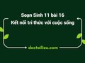 Soạn Sinh 11 Bài 16 Kết nối tri thức: Thực hành Cảm ứng ở thực vật