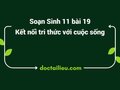Soạn Sinh 11 Bài 19 Kết nối tri thức: Khái quát về sinh trưởng